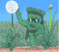 Organicare, Inc