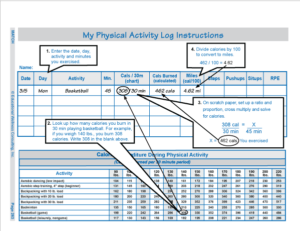 Workbook Page Layout