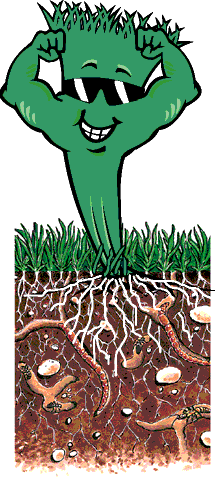 Organicare Drawing