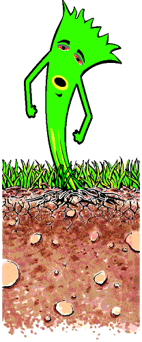 Oganicare Drawing